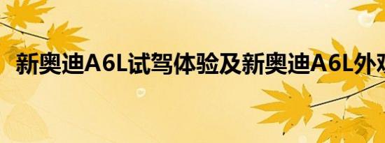 新奥迪A6L试驾体验及新奥迪A6L外观实拍