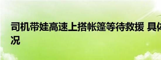 司机带娃高速上搭帐篷等待救援 具体是啥情况