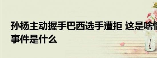 孙杨主动握手巴西选手遭拒 这是啥情况孙杨事件是什么