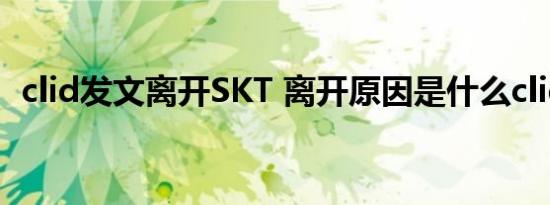 clid发文离开SKT 离开原因是什么clid是谁