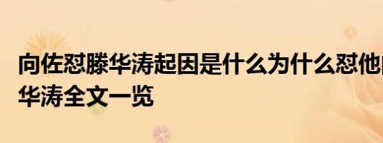 向佐怼滕华涛起因是什么为什么怼他向佐怼滕华涛全文一览