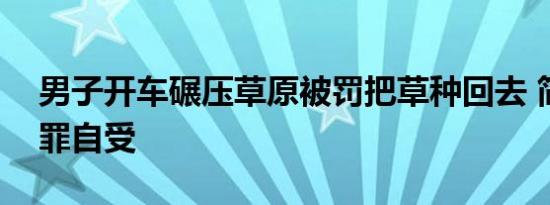 男子开车碾压草原被罚把草种回去 简直是自罪自受