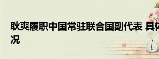 耿爽履职中国常驻联合国副代表 具体是啥情况