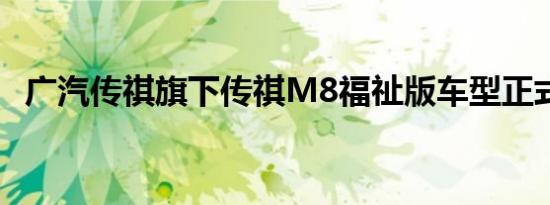 广汽传祺旗下传祺M8福祉版车型正式亮相