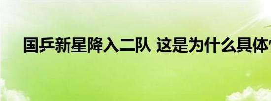 国乒新星降入二队 这是为什么具体情况