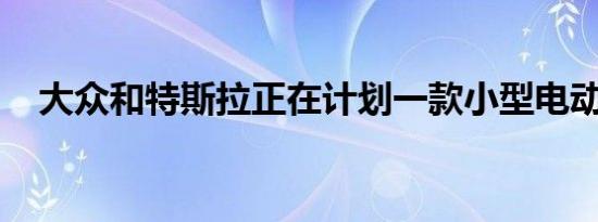 大众和特斯拉正在计划一款小型电动汽车