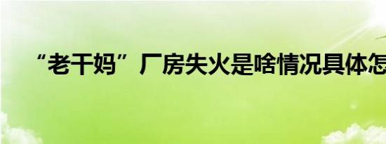 “老干妈”厂房失火是啥情况具体怎样的