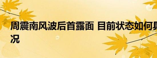 周震南风波后首露面 目前状态如何具体啥情况