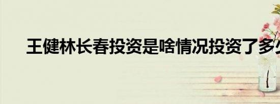 王健林长春投资是啥情况投资了多少钱