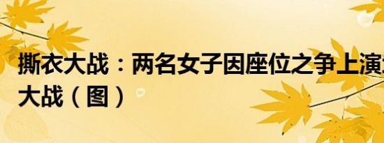 撕衣大战：两名女子因座位之争上演地铁撕衣大战（图）