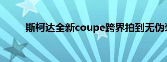 斯柯达全新coupe跨界拍到无伪装