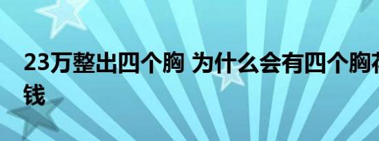 23万整出四个胸 为什么会有四个胸花了多少钱