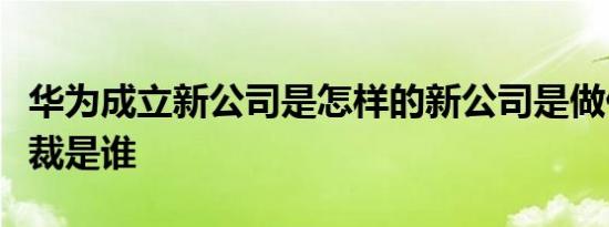 华为成立新公司是怎样的新公司是做什么的总裁是谁