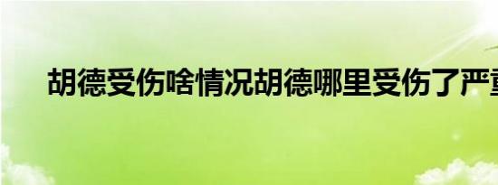 胡德受伤啥情况胡德哪里受伤了严重吗