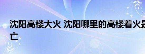 沈阳高楼大火 沈阳哪里的高楼着火是否有伤亡