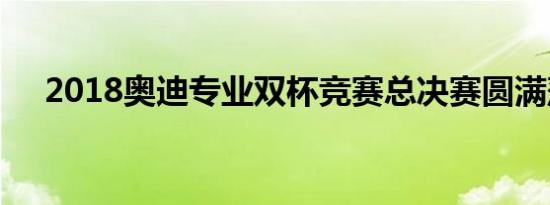 2018奥迪专业双杯竞赛总决赛圆满落幕