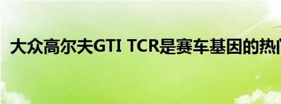 大众高尔夫GTI TCR是赛车基因的热门话题