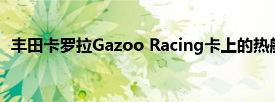 丰田卡罗拉Gazoo Racing卡上的热舱口盖