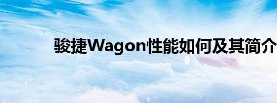 骏捷Wagon性能如何及其简介