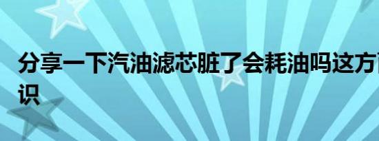 分享一下汽油滤芯脏了会耗油吗这方面的小知识