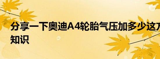 分享一下奥迪A4轮胎气压加多少这方面的小知识