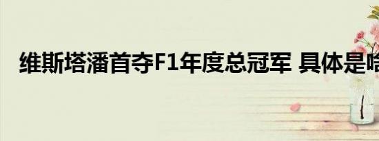 维斯塔潘首夺F1年度总冠军 具体是啥情况