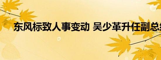 东风标致人事变动 吴少革升任副总经理