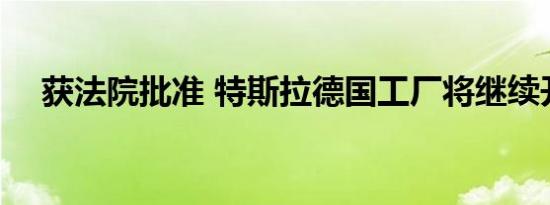 获法院批准 特斯拉德国工厂将继续开建 