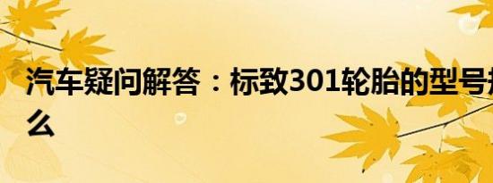 汽车疑问解答：标致301轮胎的型号规格是什么