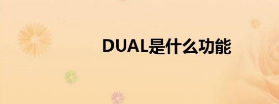 DUAL是什么功能