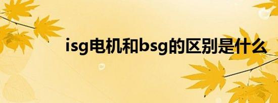 isg电机和bsg的区别是什么