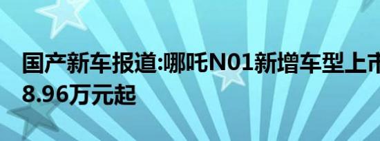 国产新车报道:哪吒N01新增车型上市 补贴后8.96万元起