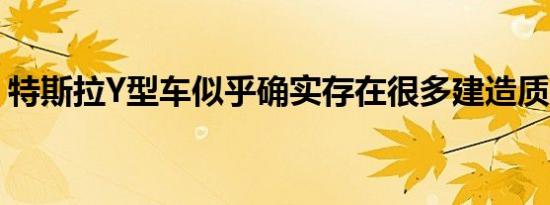 特斯拉Y型车似乎确实存在很多建造质量问题