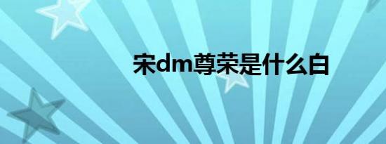 宋dm尊荣是什么白