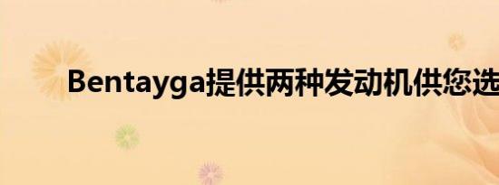 Bentayga提供两种发动机供您选择