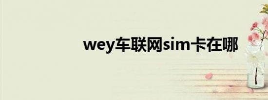 wey车联网sim卡在哪