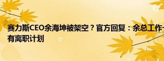 赛力斯CEO余海坤被架空？官方回复：余总工作一切正常没有离职计划