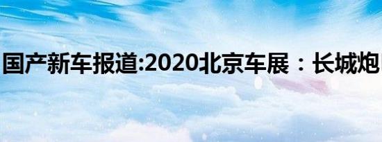 国产新车报道:2020北京车展：长城炮EV亮相