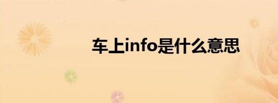 车上info是什么意思