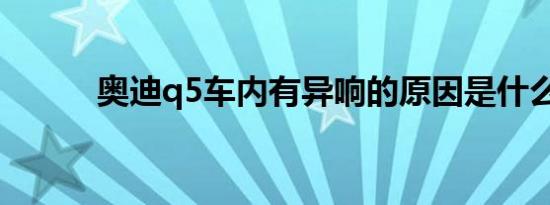 奥迪q5车内有异响的原因是什么