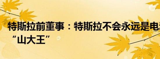 特斯拉前董事：特斯拉不会永远是电动车领域“山大王”