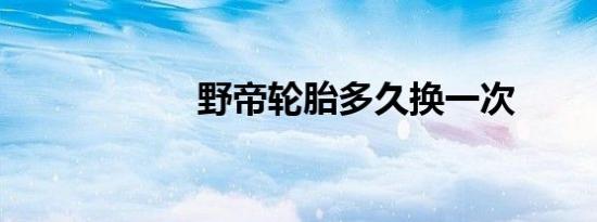 野帝轮胎多久换一次