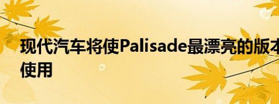 现代汽车将使Palisade最漂亮的版本更易于使用