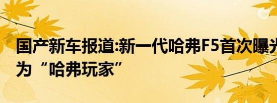 国产新车报道:新一代哈弗F5首次曝光 或命名为“哈弗玩家”