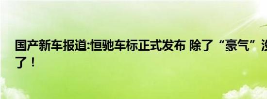 国产新车报道:恒驰车标正式发布 除了“豪气”没啥形容词了！