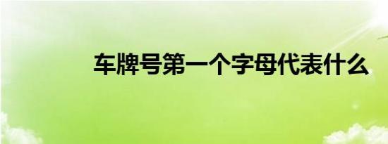 车牌号第一个字母代表什么