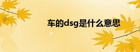 车的dsg是什么意思