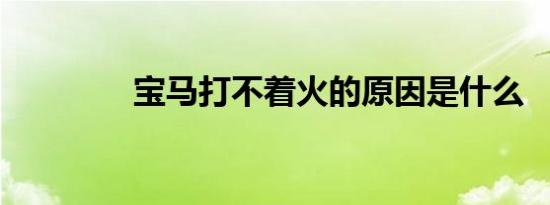 宝马打不着火的原因是什么