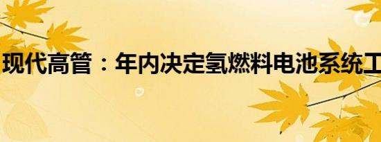 现代高管：年内决定氢燃料电池系统工厂选址