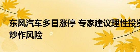 东风汽车多日涨停 专家建议理性投资者规避炒作风险